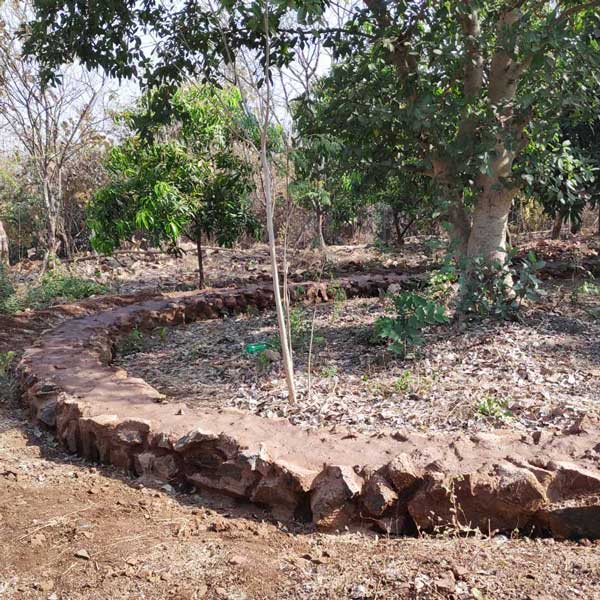 Stone landscaping around trees in natural setting - Sustainable, eco friendly, biophilic architects in Mumbai, India